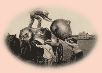 photomontage 