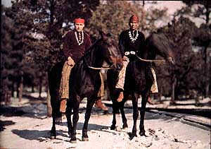 Click on any image or title for a larger view!
