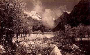 Click on any image or title for a larger view!