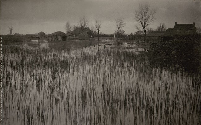 P. H. Emerson, “A Rushy Shore,” 1885–86 — reeds and still water along a marshland shore in East Anglia